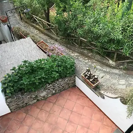 Gli Scalini * Anacapri (Isola di Capri)